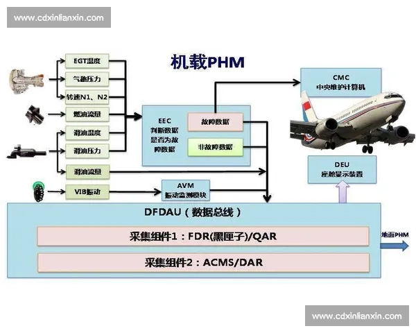 科学系统训练计划助力全面提升体能与健康管理方案