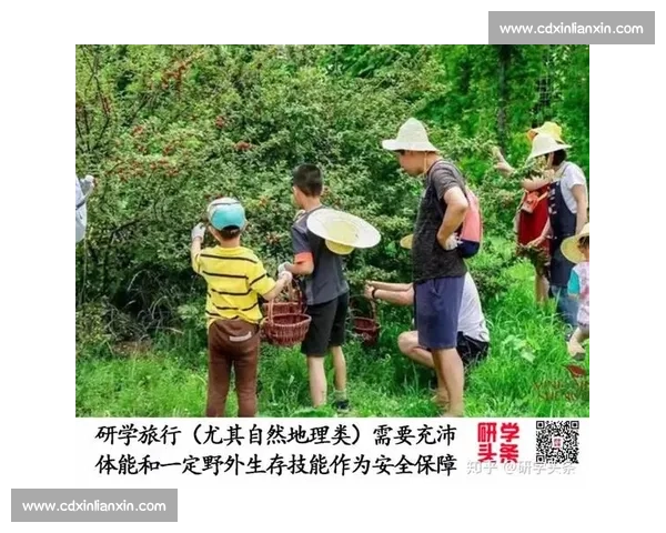 全面提升体能与健康水平的体育资源整合与实用指南